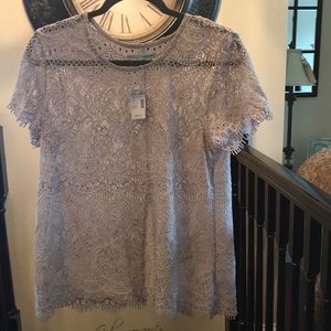 NWT pale lilac or dusty mauve lace top